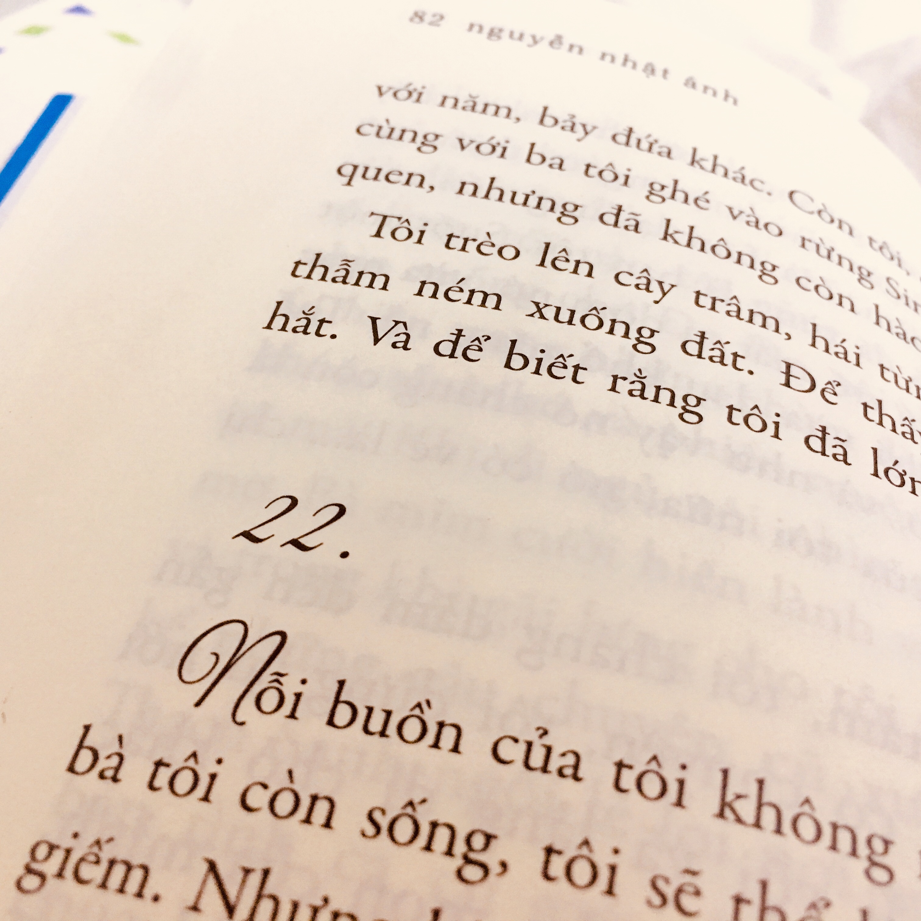 review sach mat biec nguyen nhat anh 4