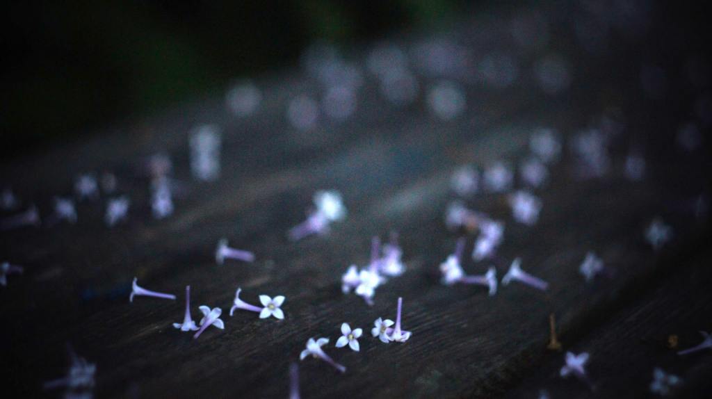 Những câu chuyện tháng Tư