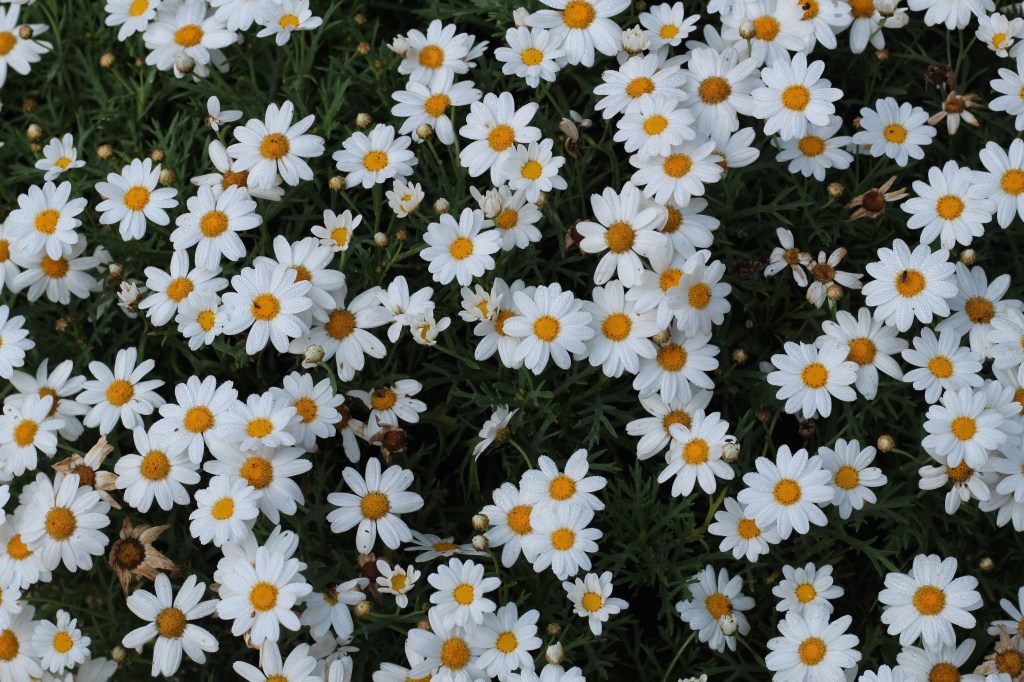 Day 20: Xuân Hạ Thu&nbsp;Đông