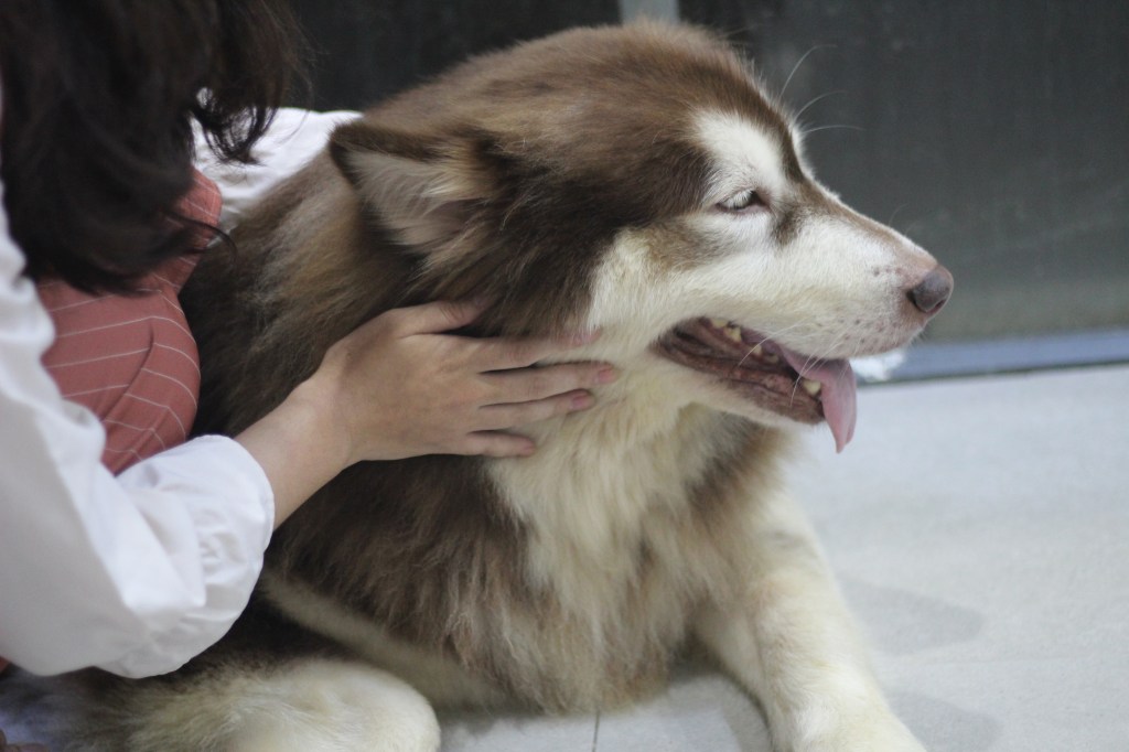 Day 30: Xứ sở màu hồng của những niềm hy&nbsp;vọng