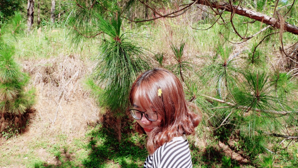 Day 31: Cứ yêu cuộc sống của chính&nbsp;mình