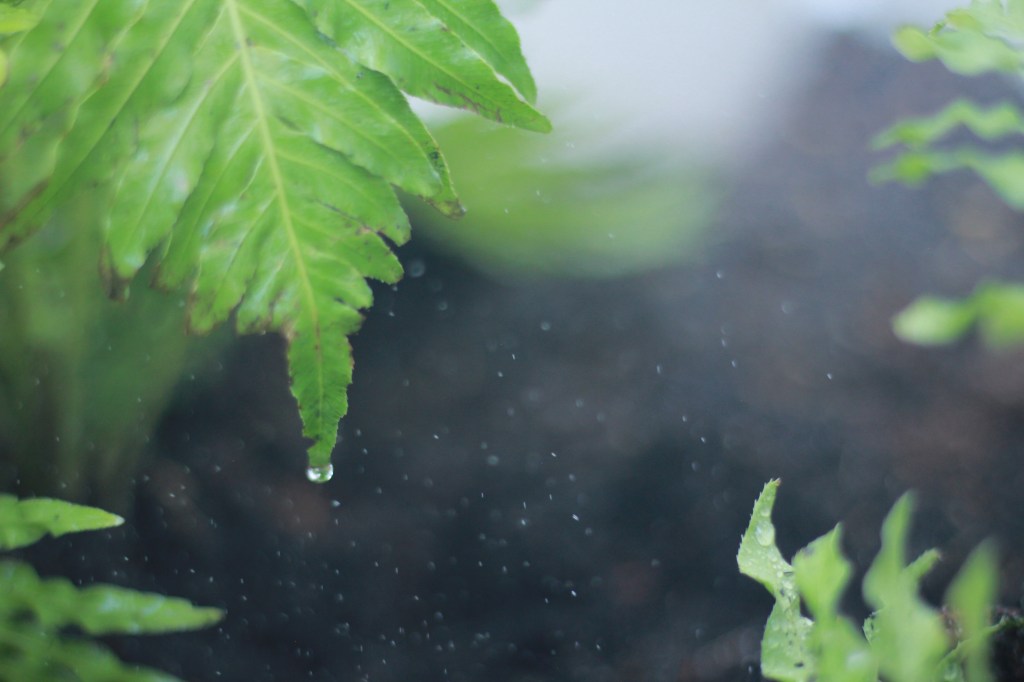 Day 26: Xứ sở màu hồng của thực&nbsp;tại