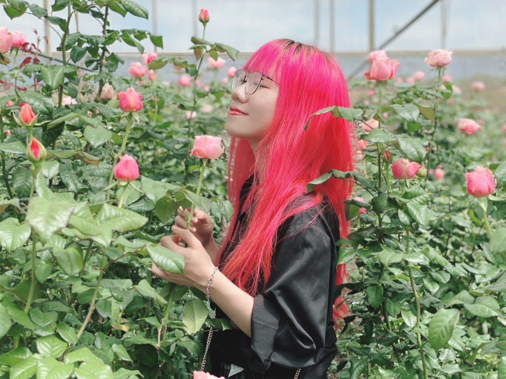 Giữa ngã ba đường, ta tạo lối đi&nbsp;riêng