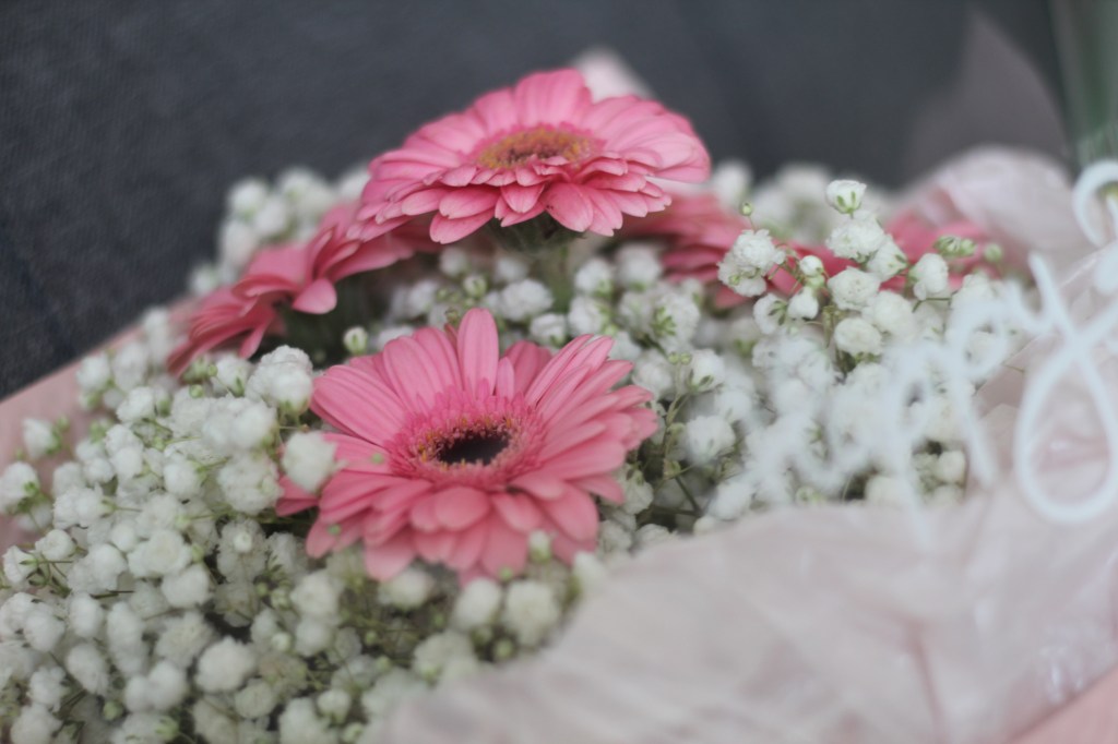 La bella figura, hay là giấc mơ của những kẻ sống trong thành phố&nbsp;lớn